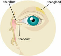 Dry Eyes diagram