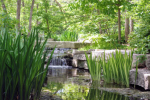 waterfall with foliage 